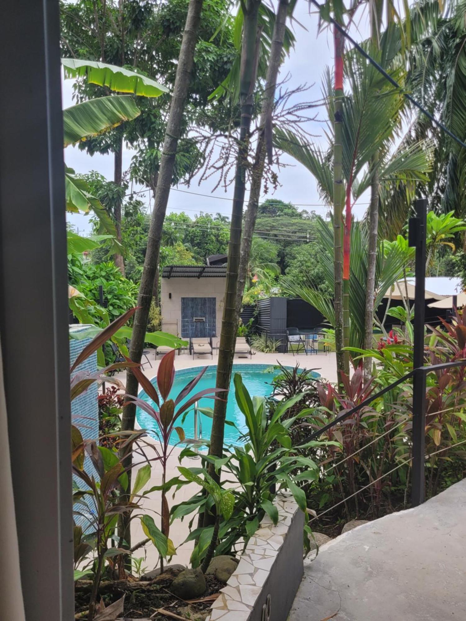 Tico Tico Villas - Adult Only Manuel Antonio Exteriör bild